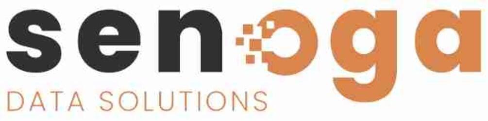 senoga data solutions